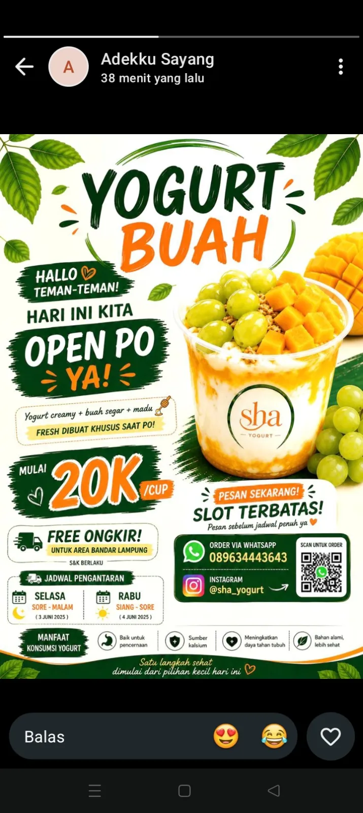 Yogurt healthcare food  5
